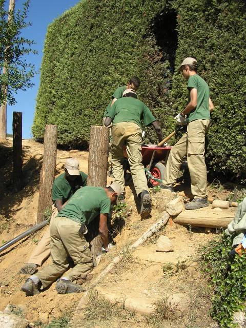brot_serveis-de-jardineria_fundacio-oscobe.jpg